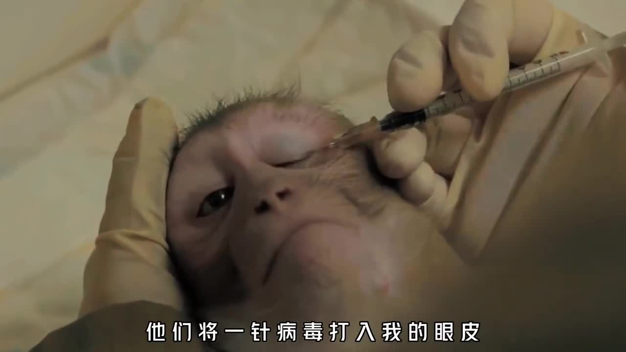 百猴死一药生实验猴的一生究竟有多悲惨