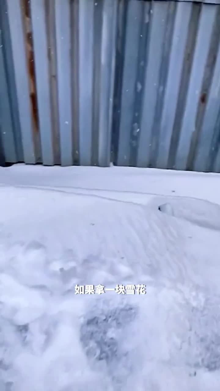 钢卷温度高达1000摄氏度扔上什么都会融化