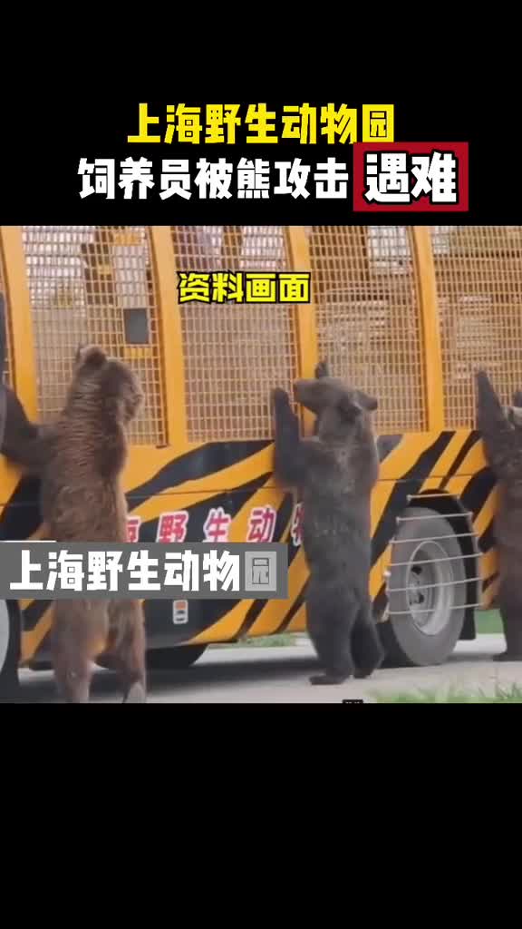 突发上海野生动物园熊伤人致1人死亡系园区工作人员