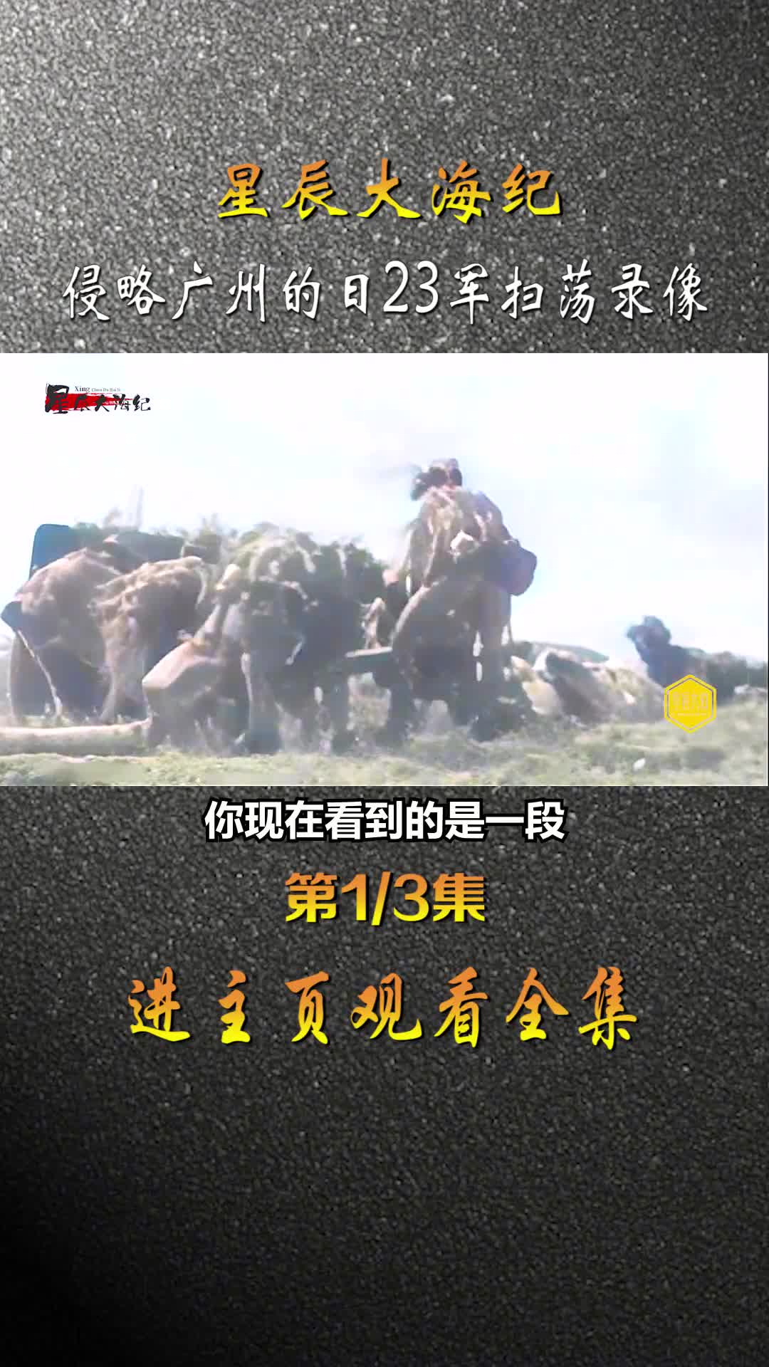 1941年侵略广州的日23军沿江门扫荡在田地野炊烤抢夺老百姓的鸭子镜头
