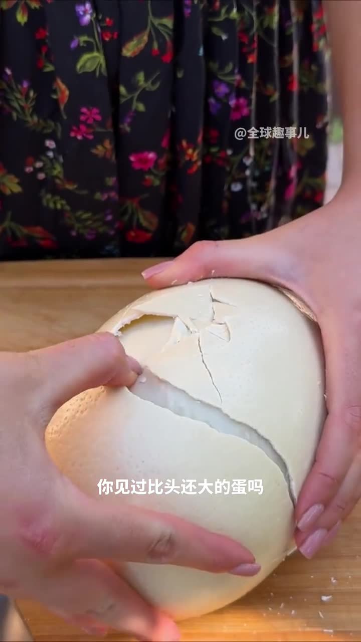 比头还大的蛋鸵鸟蛋的惊人尺寸