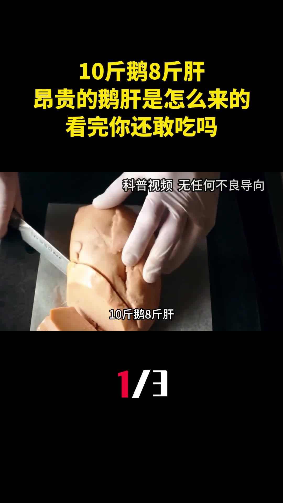 10斤鹅8斤肝昂贵的鹅肝是怎么来的看完你还敢吃吗1