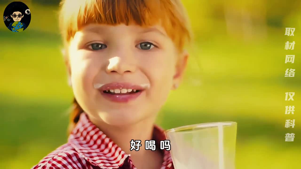 奶牛的一生究竟有多悲惨