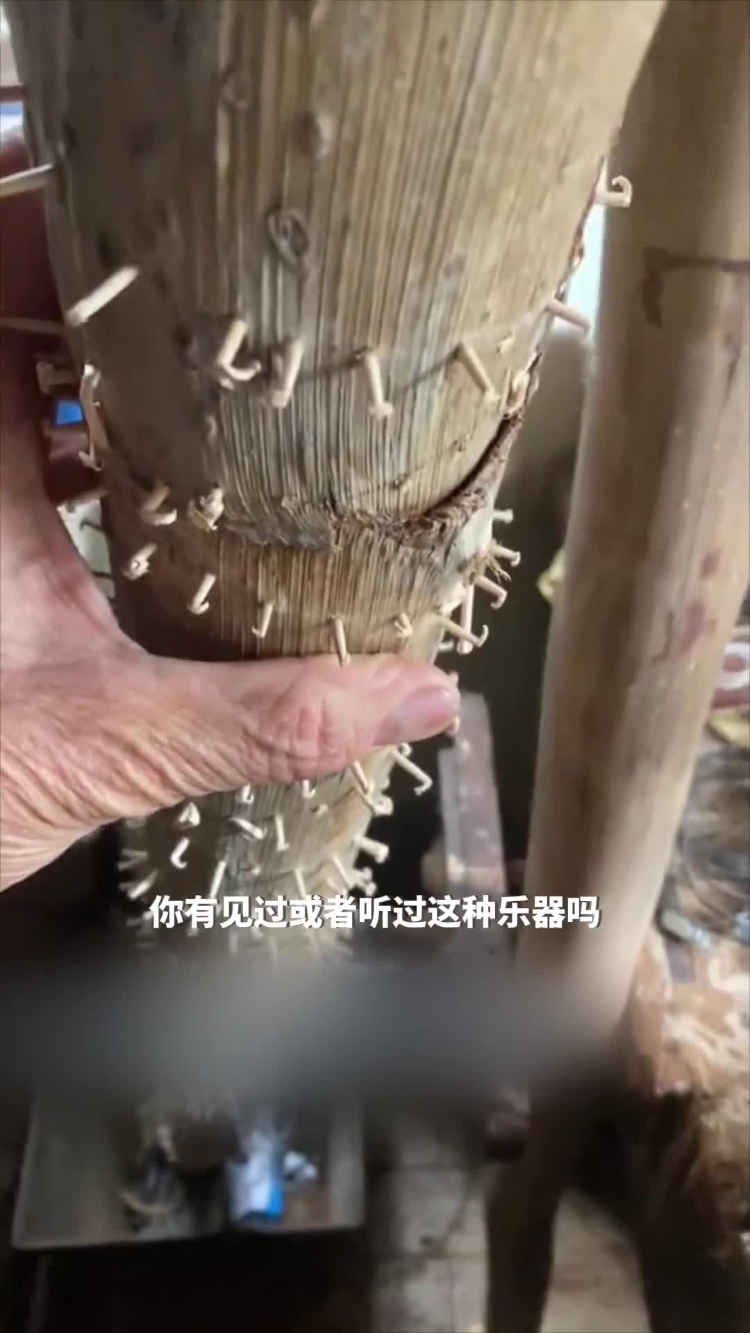 你见过这种乐器吗让你身临其境的下雨体验