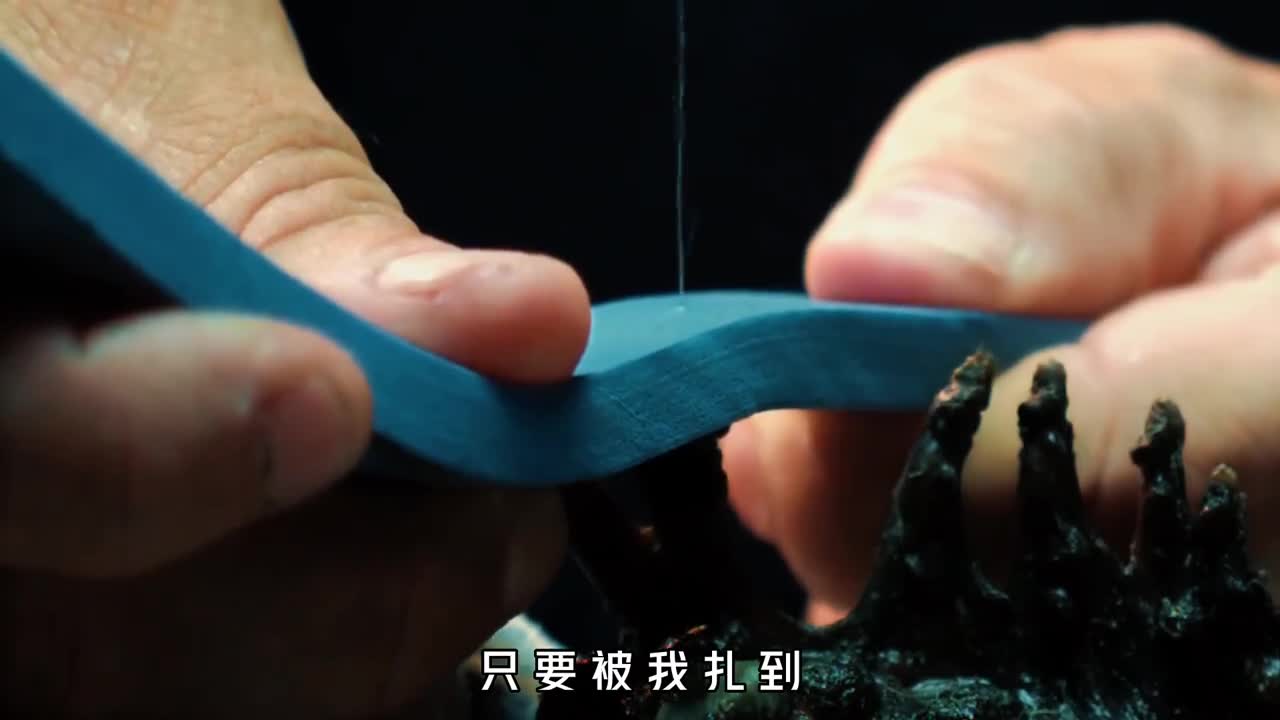 为什么世界最毒的鱼却最怕中国人