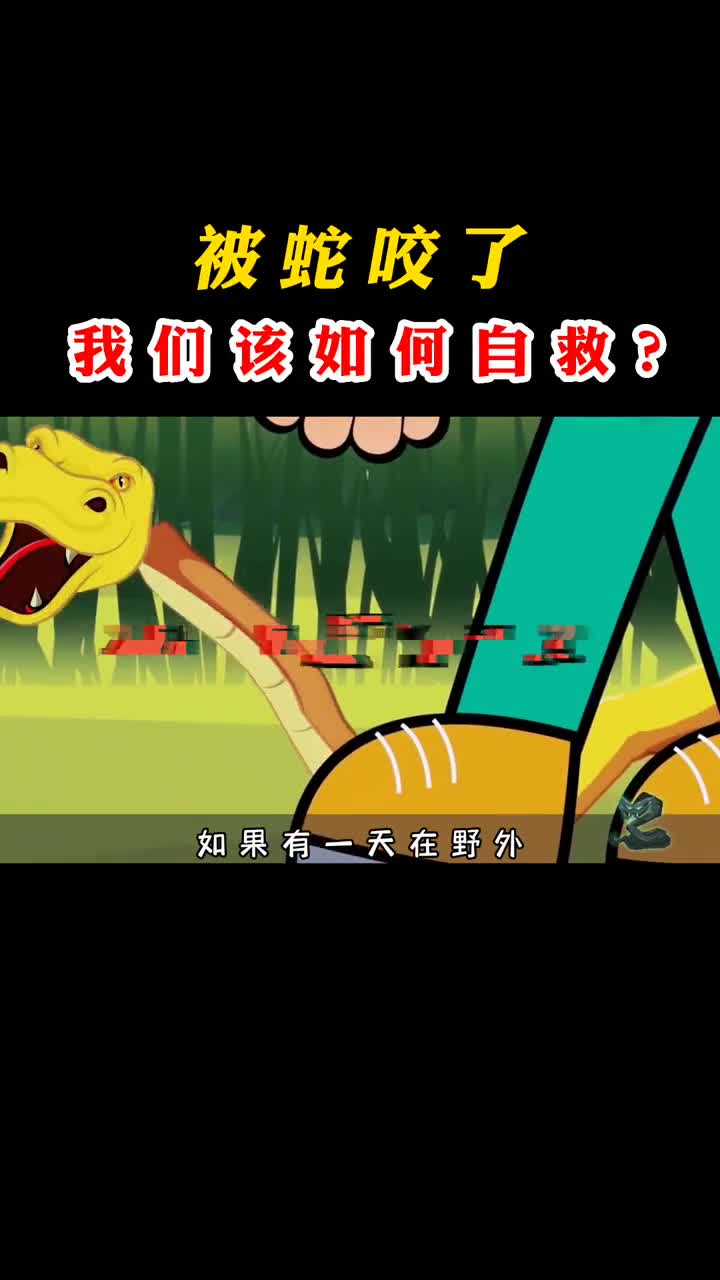 如果你不小心被毒蛇咬了你该怎么办