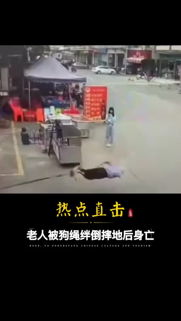 愤怒狗绳绊倒老人主人带狗逃离老人脑部出血身亡