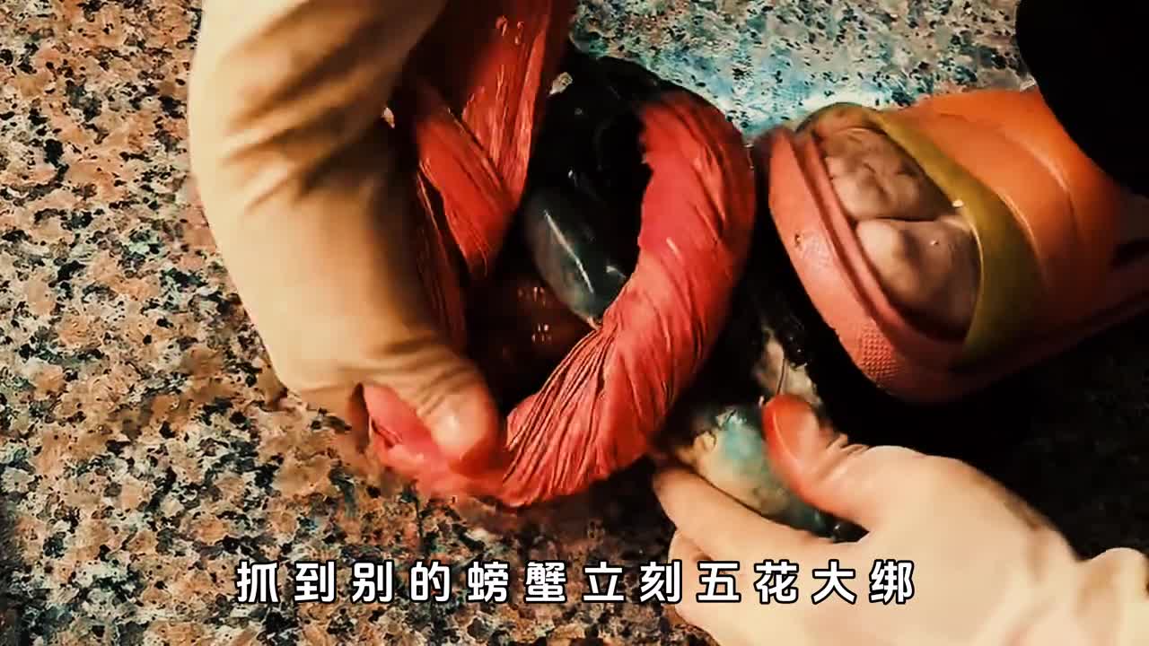 这种螃蟹只敢吃蟹钳否则将会引来牢狱之灾