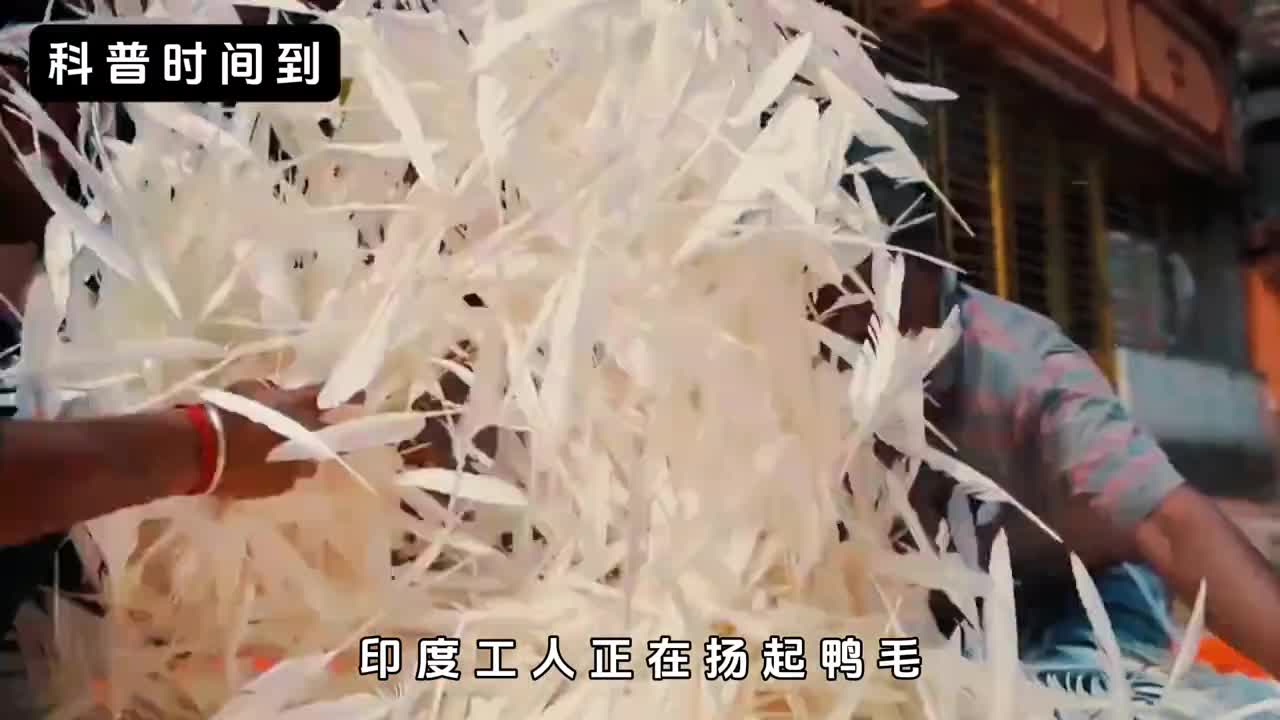 如何制作羽毛球