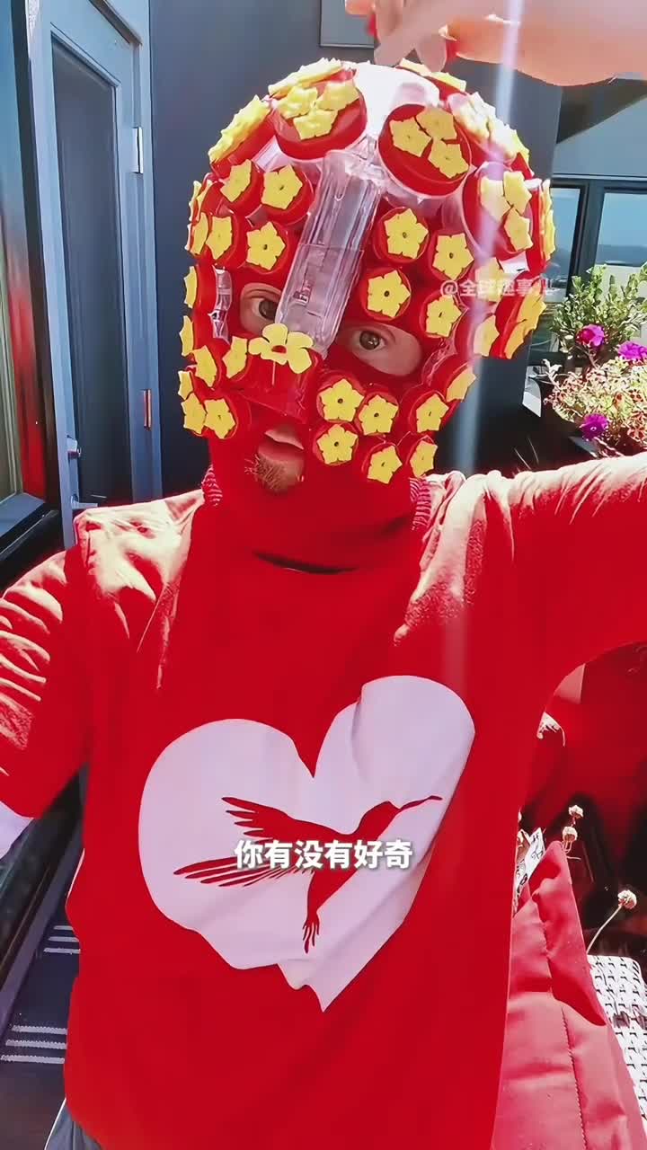 人类与蜂鸟的亲密接触近距离观察这些敏捷警惕的小精灵