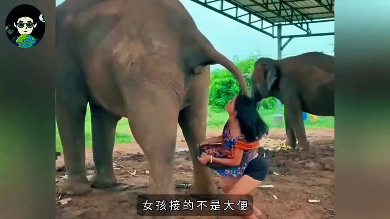 为啥让富人喝屎呢