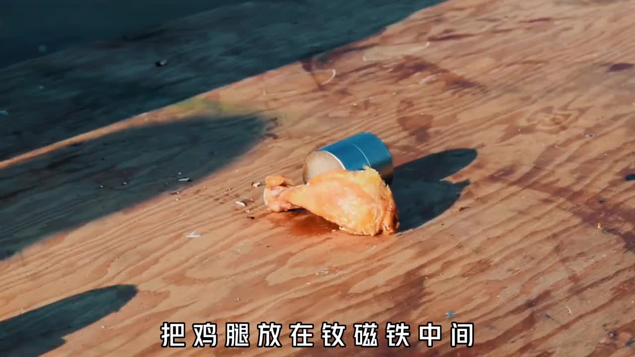 钕磁铁究竟有多可怕鸡蛋放中间瞬间夹爆手机被夹直接报废