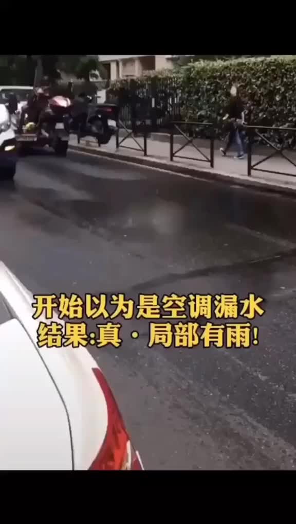 真局部有雨天气预报诚不欺我
