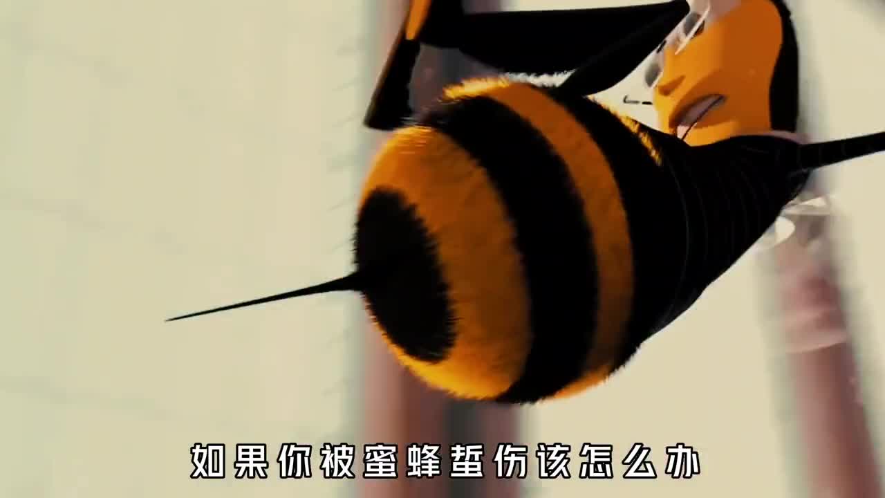 如果你被蜜蜂蜇了应该怎么办千万别硬拔尾刺更不要放任不管