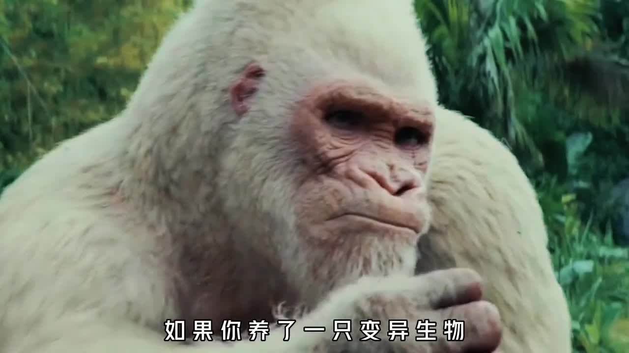 如果你养了一只变异生物会是什么体验