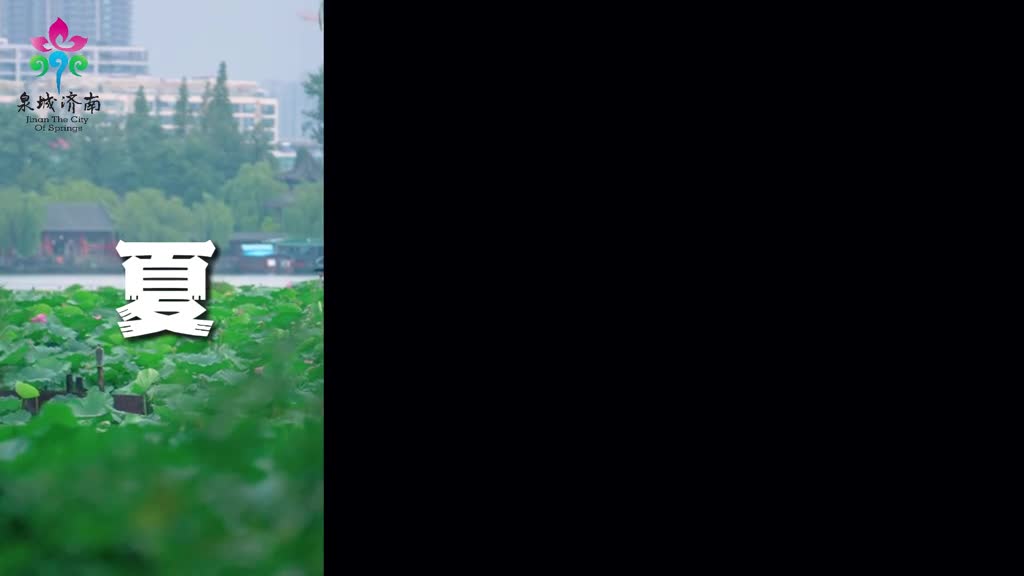 独属于济南的浪漫大明湖畔夏雨荷