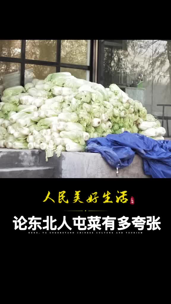 论东北人屯菜有多夸张南方人表示不理解