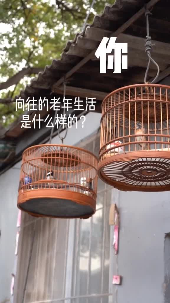 活出自我活得精彩什么样才是你向往的老年生活