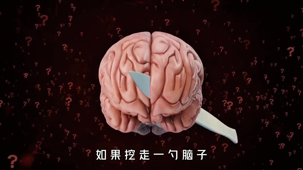 如果你被挖掉一勺脑子会失去记忆吗