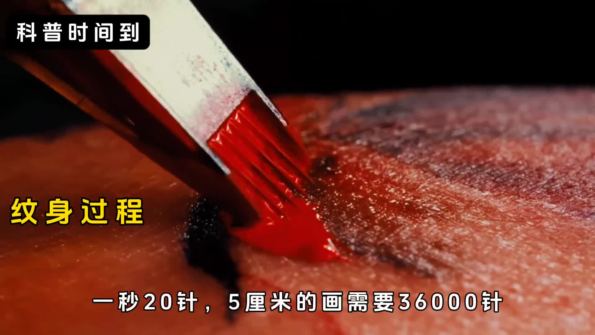 微距世界下一切行踪都有迹可循