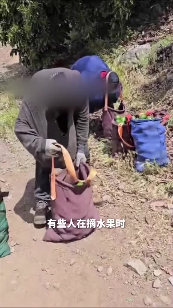 衣服竟然能当工具摘果工人和潜水员的神奇操作