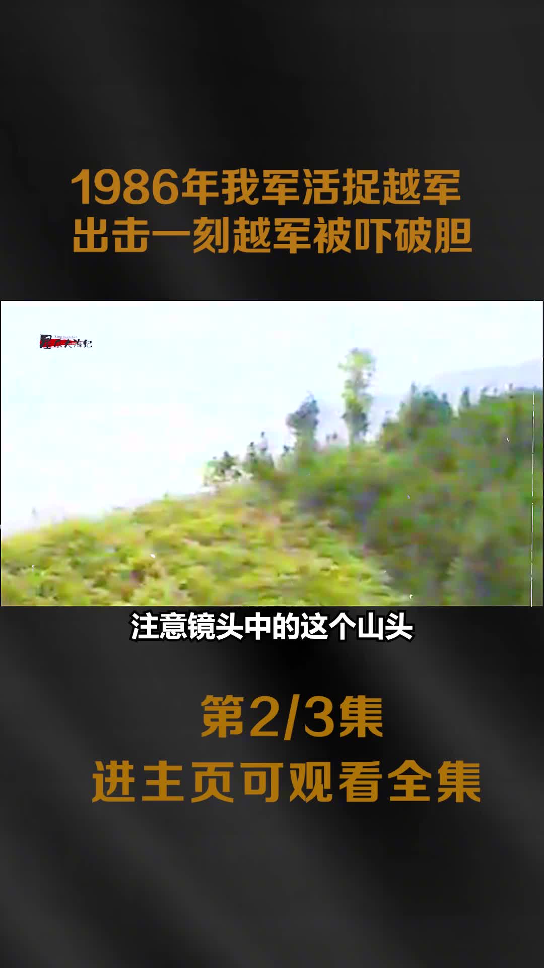 1986年我军捕俘战士活捉越军全程影像出击一刻越军被吓破胆1986年我军捕俘战士活捉越军全程影像出击一刻越军被吓破胆