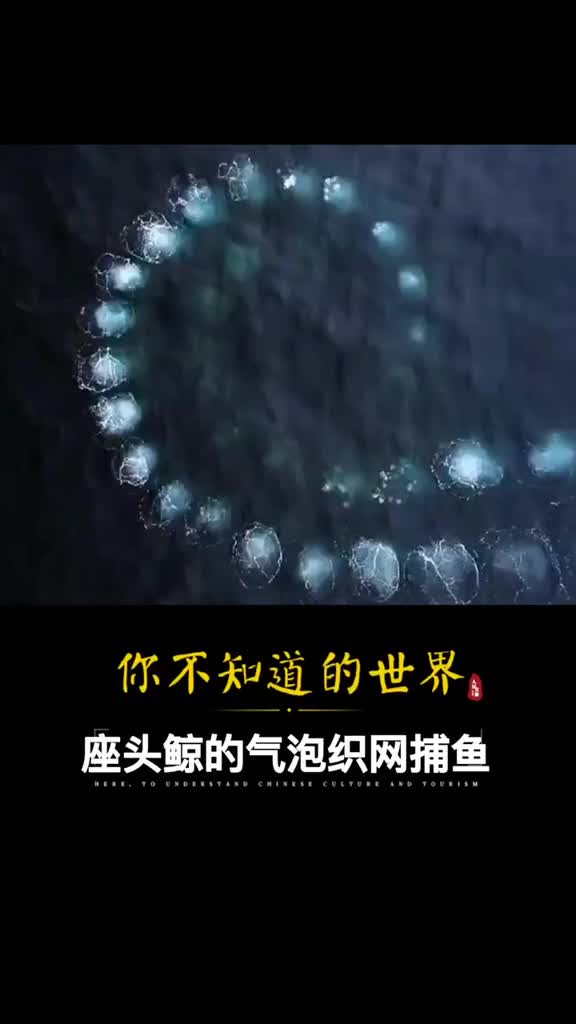 涨知识最远古的捕鱼方式画面声音都好美