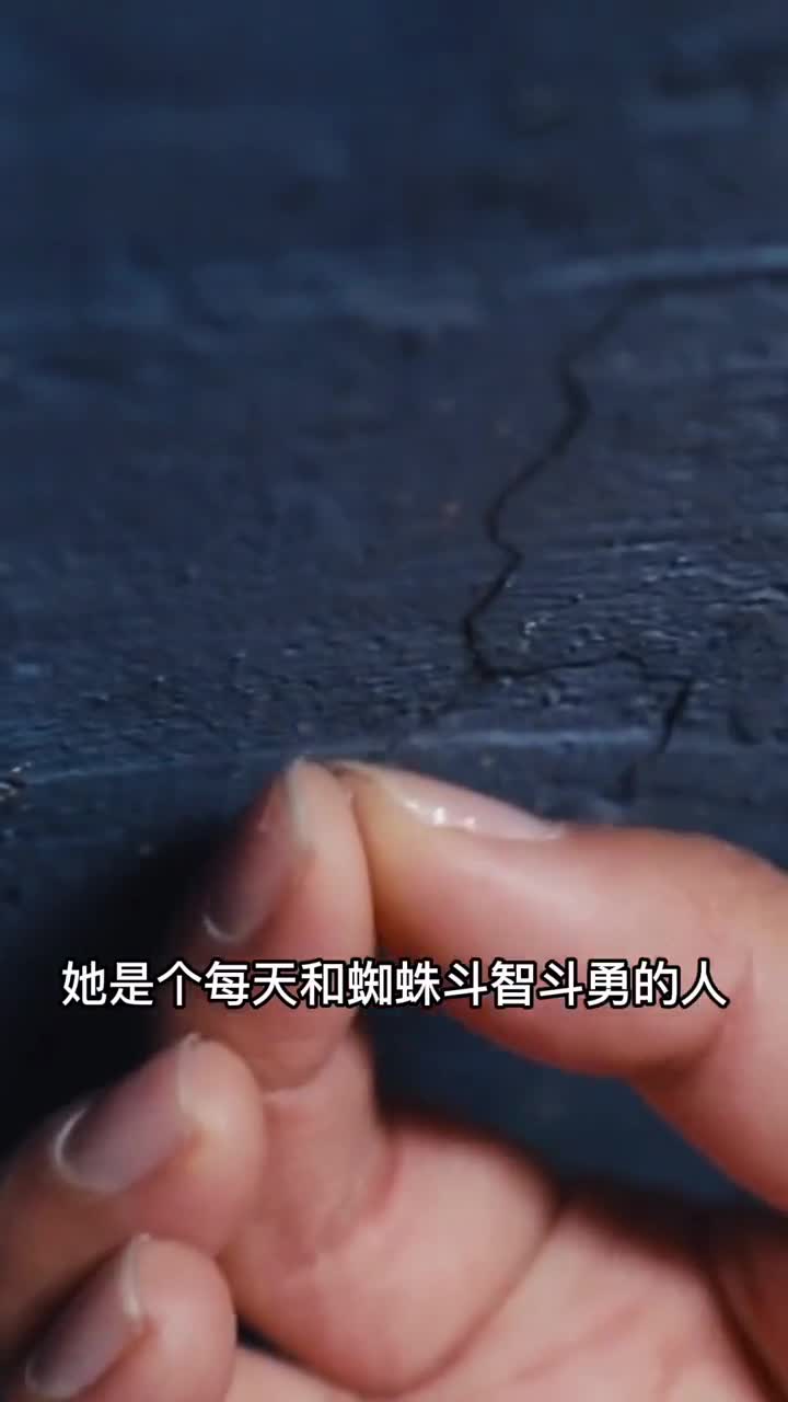 她每天和几十只蜘蛛斗智斗勇可能是热爱是铠甲吧