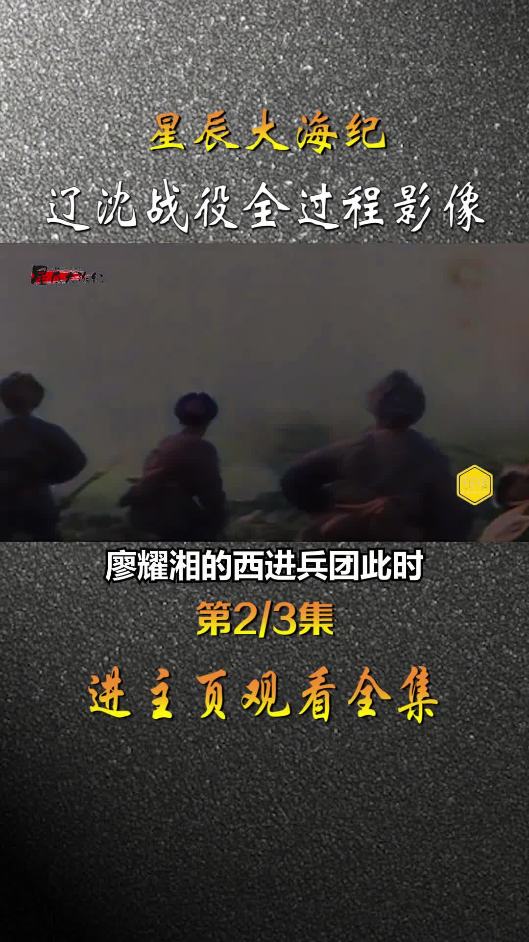 1948年辽沈战役全过程录像国民党一众将领被俘虏