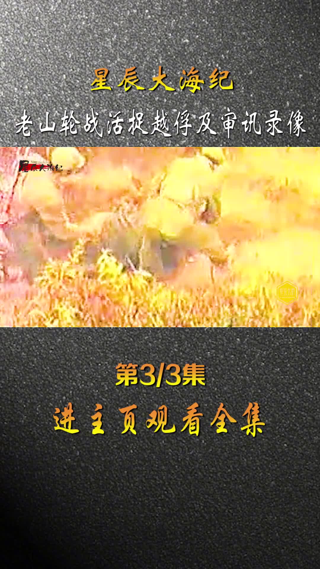 1986年我军活捉越军以及审问影像