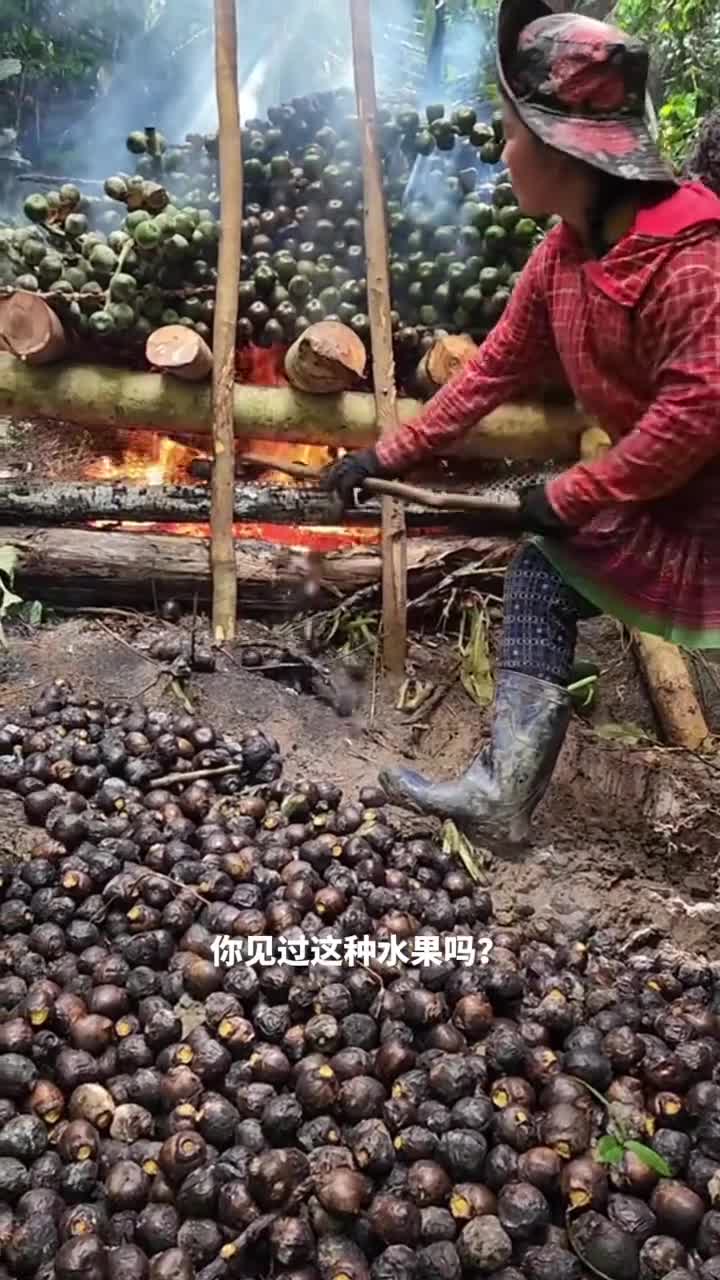 桄榔子为何要经受火的洗礼焦黑外表下藏着的美味甜点