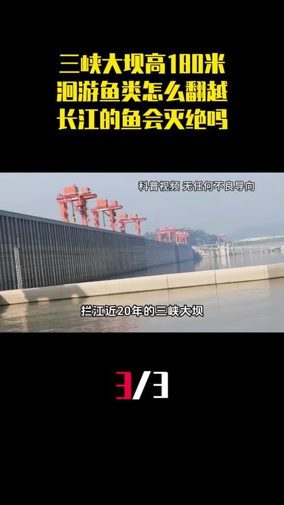 三峡大坝高180米洄游鱼类怎么翻越长江的鱼会灭绝吗3