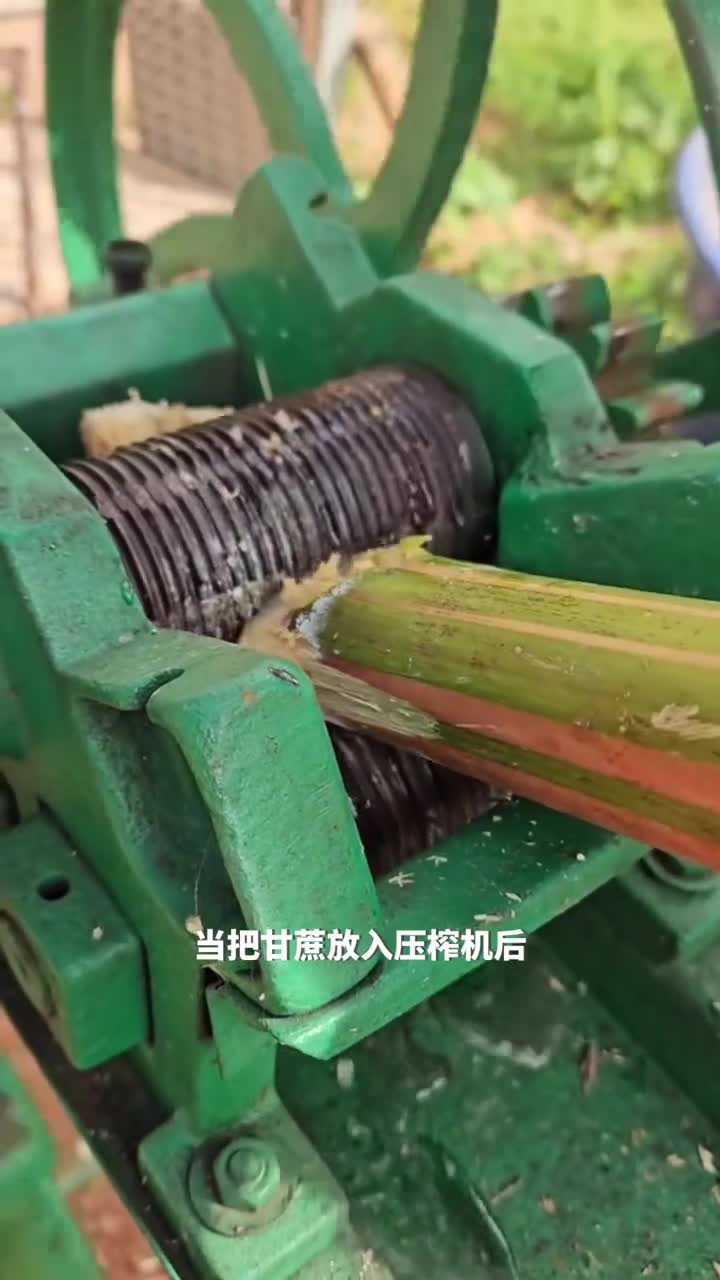 甘蔗到红糖的神奇之旅让你大开眼界