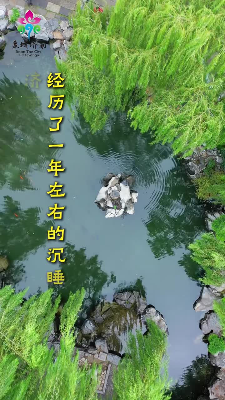 济南别称泉城泉城济南泉群众多水量丰沛被称为的天然岩溶泉水博物馆济南城内百泉争涌向有名泉七十二之说历经一年的沉睡济南