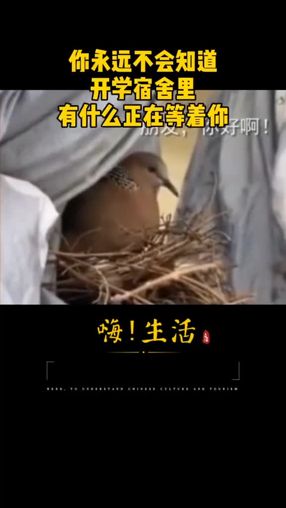 开学后的宿舍也许是另一个世界你的宿舍还好吗