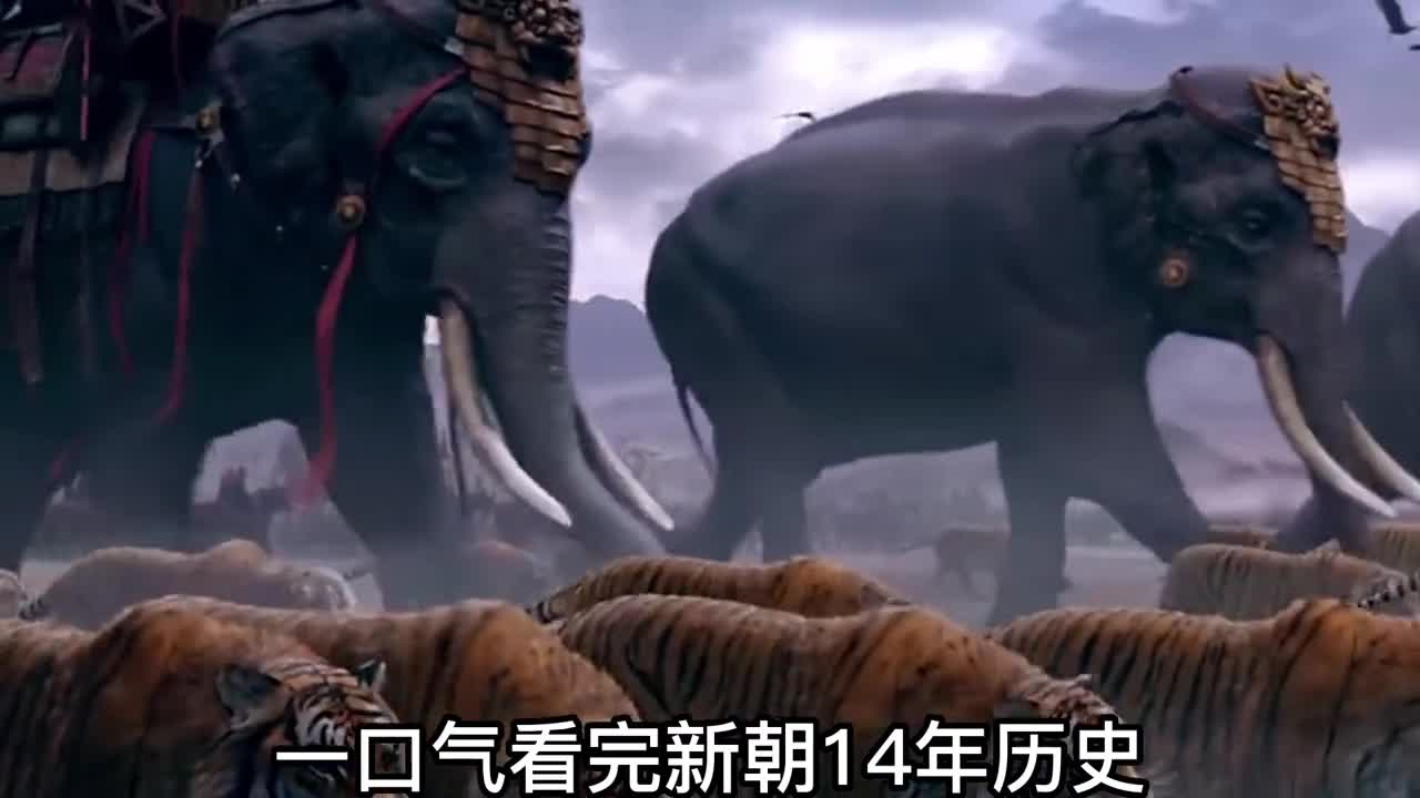 一口气看完新朝14年历史巨毋霸驱赶老虎大象战斗