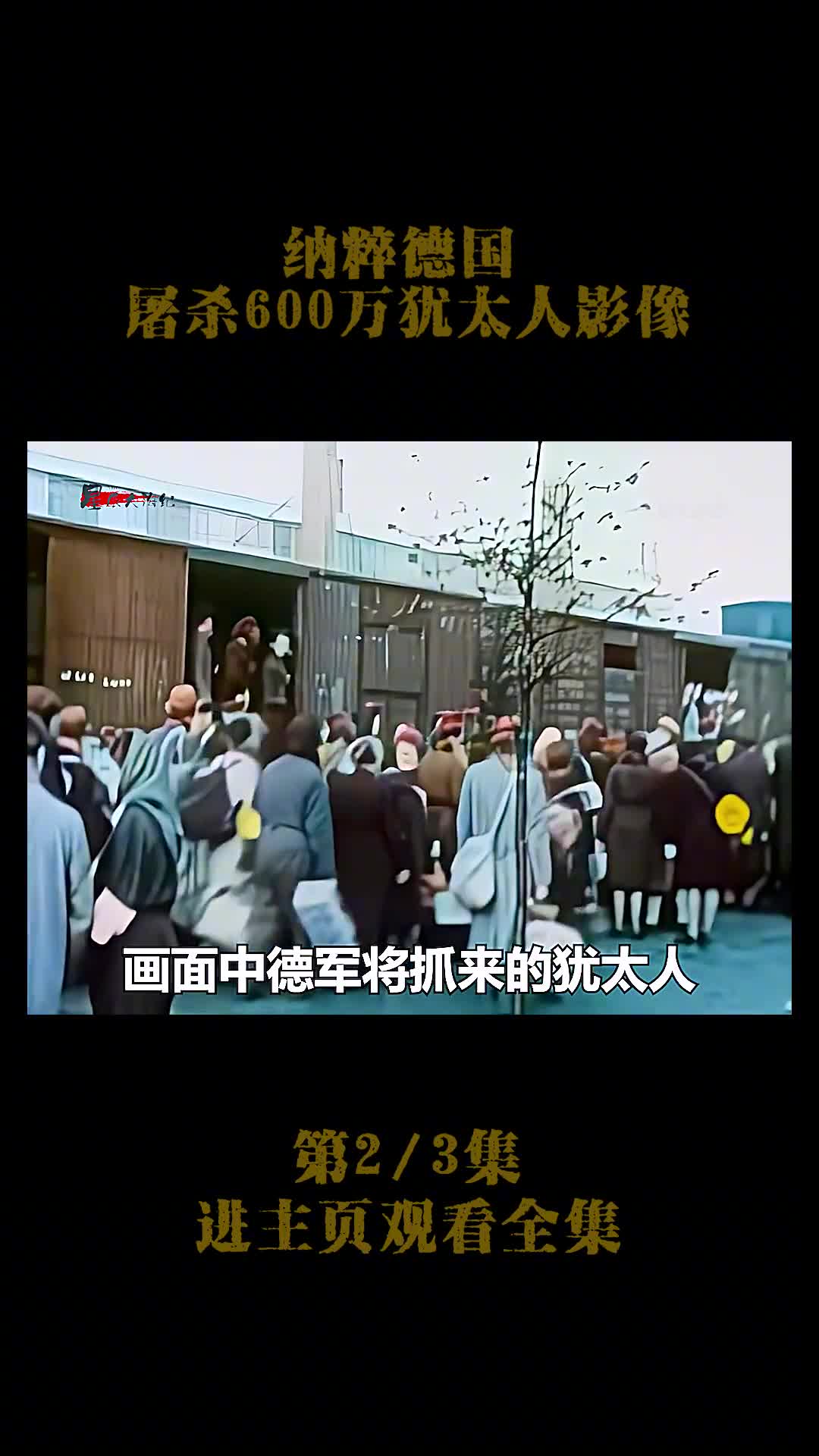 1941年纳粹德国屠杀犹太人影像1941年纳粹德国屠杀犹太人影像仅4年欧洲三分之二的犹太人被屠杀