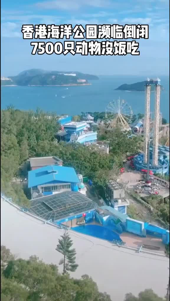 特区政府拨款54亿救助海洋公园香港回归日游客满员一代人的童年回忆