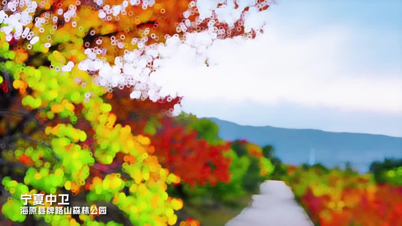 中卫市是连接西北与华北的第三大铁路交通枢纽是欧亚大陆桥的咽喉要道也是古丝绸之路和一带一路重要的节点城市听