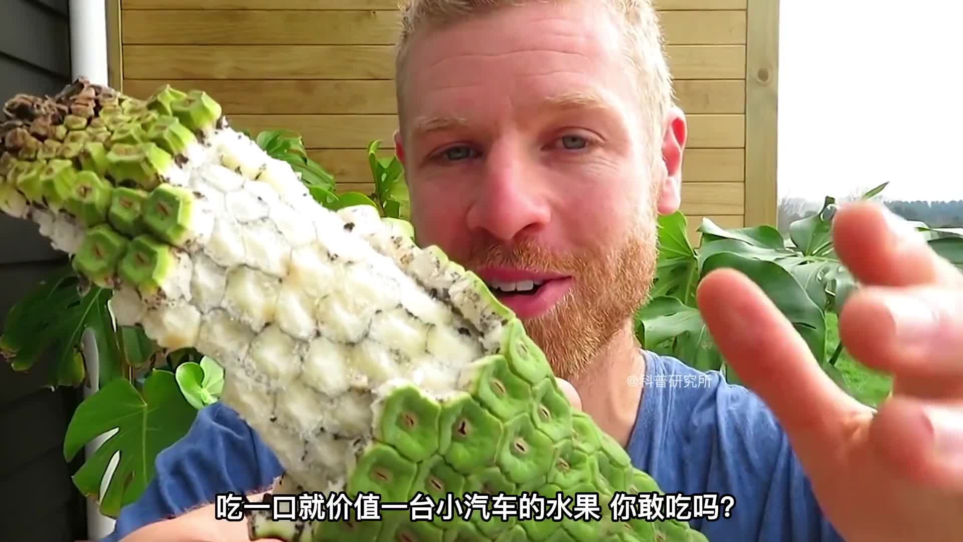 一个水果就10多个W你敢吃吗全球最贵的6种水果你吃过几个三