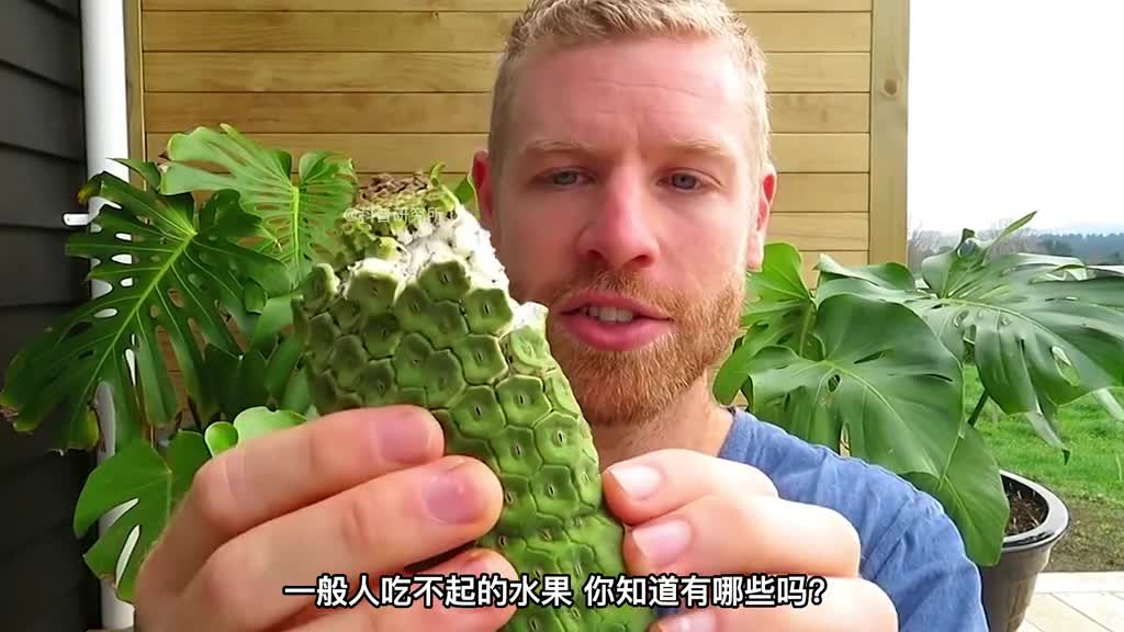 一个水果就10多个W你敢吃吗全球最贵的6种水果你吃过几个二