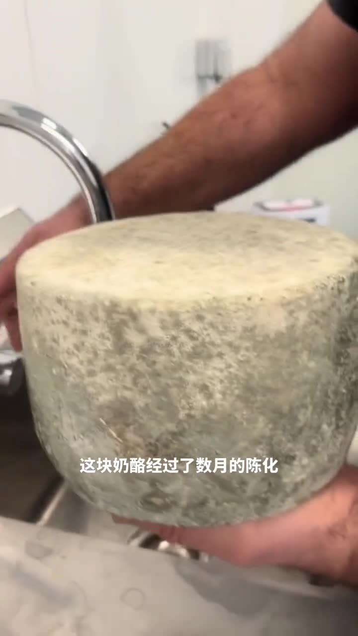 活跳跳的奶酪奶酪陈化过程中的独特魅力