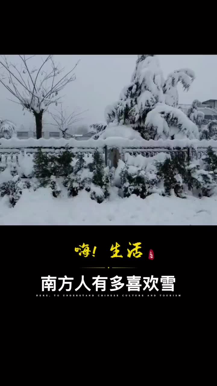 南方人见到雪有多激动