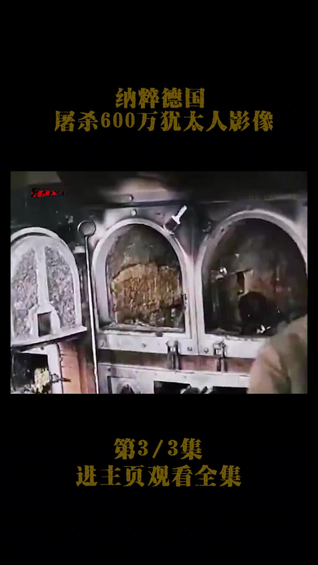 1941年纳粹德国屠杀犹太人影像1941年纳粹德国屠杀犹太人影像仅4年欧洲三分之二的犹太人被屠杀