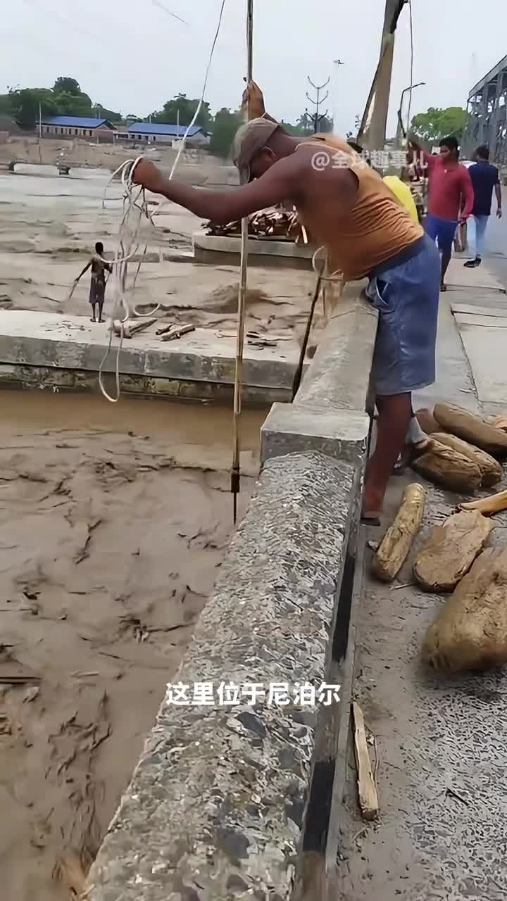为什么要站在河坝上捞木头背后藏着怎样的生计与安全