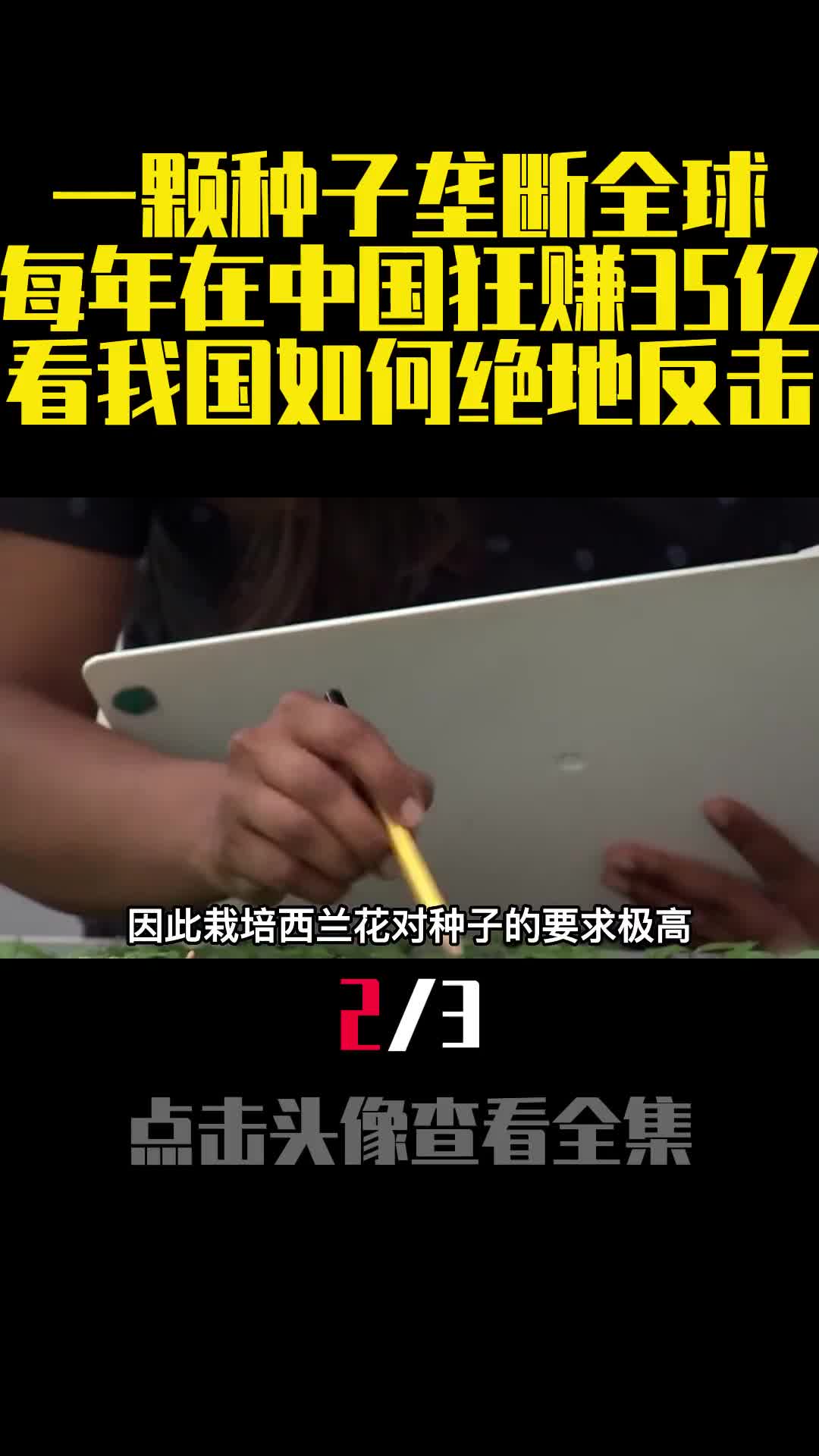 一颗种子垄断全球每年在中国狂赚35亿看我国如何绝地反击2