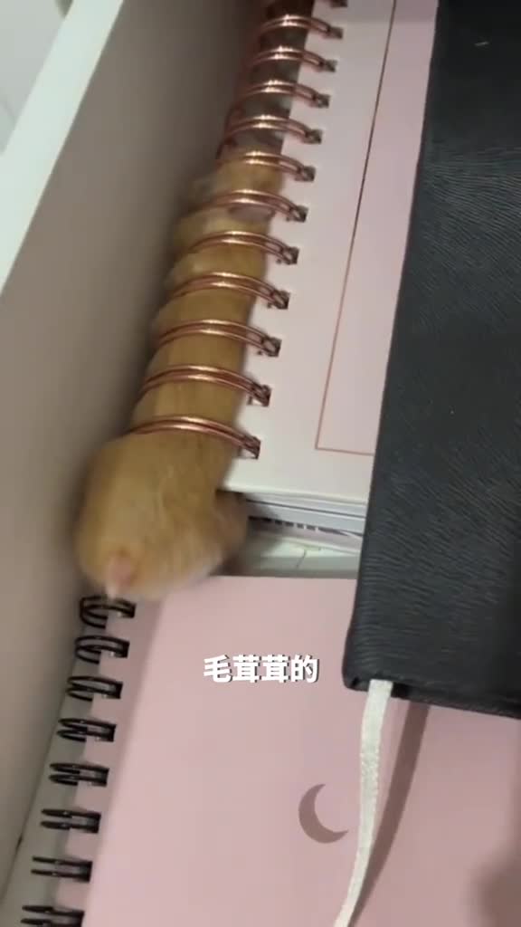 原来身体也能柔软的像水一样