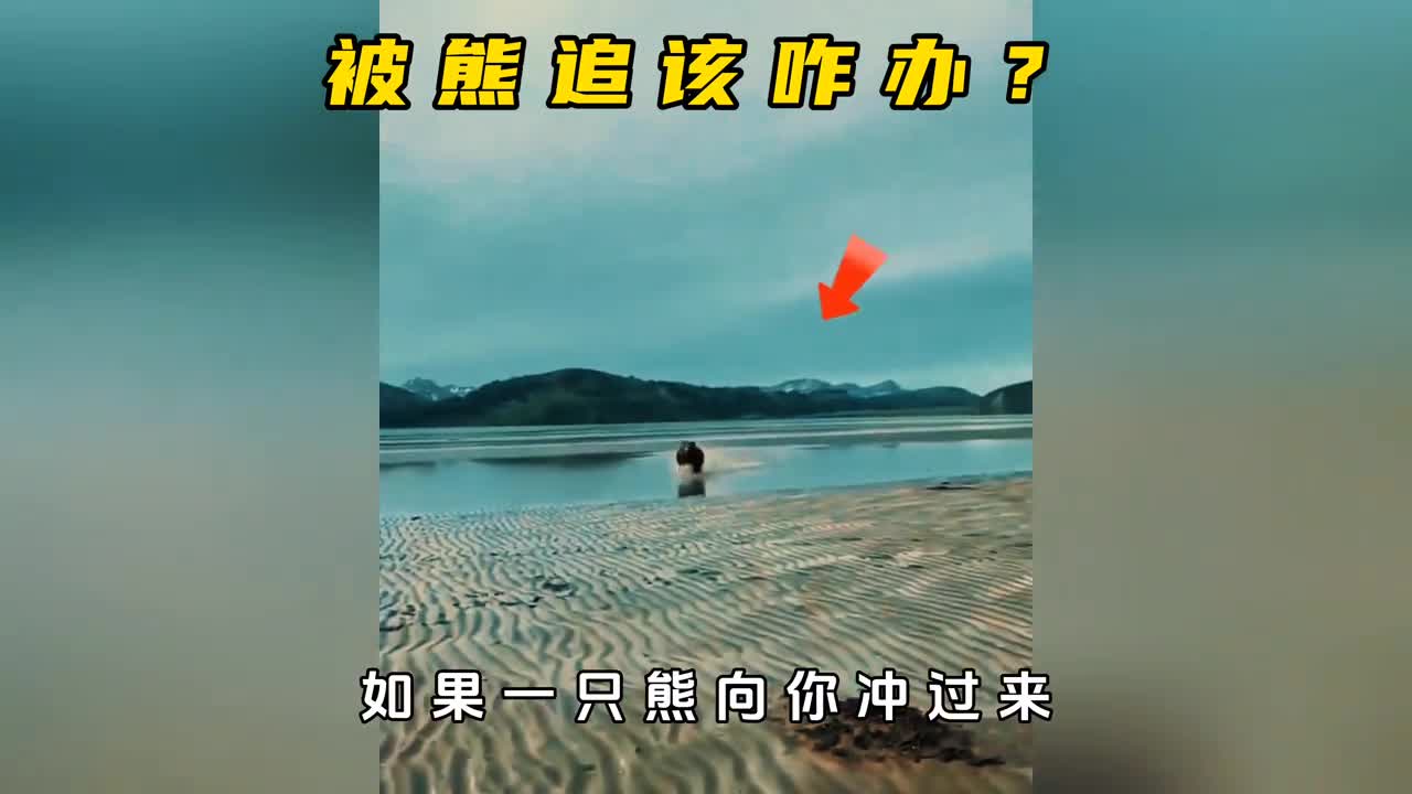 如果你在野外被狗熊追该怎么办