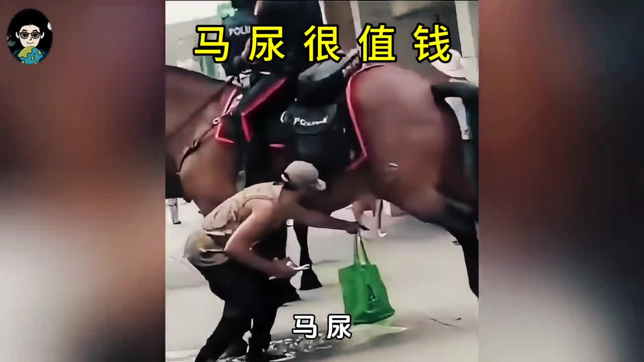 马尿比牛奶还贵