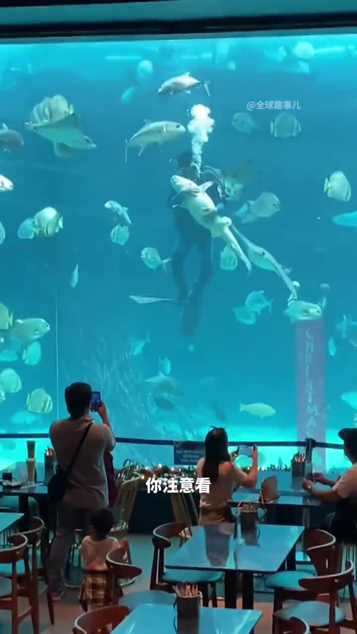 鱼也会睡觉原来这些鱼的睡觉方式这么离谱